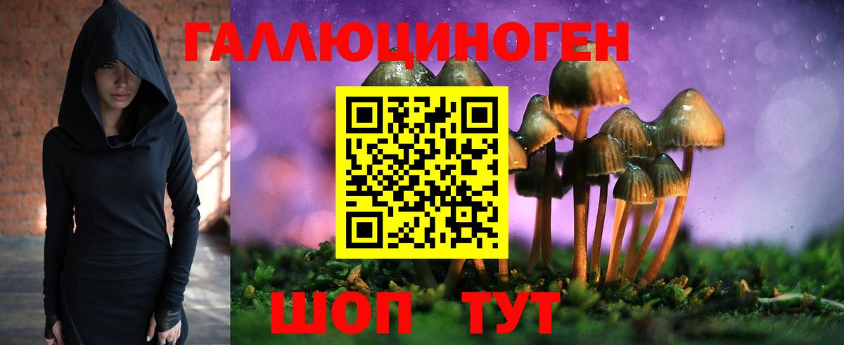 Галлюциногенные грибы прущие грибы  купить   Йошкар-Ола  Вход с VPN  Галлюциногенные грибы ЛСД 